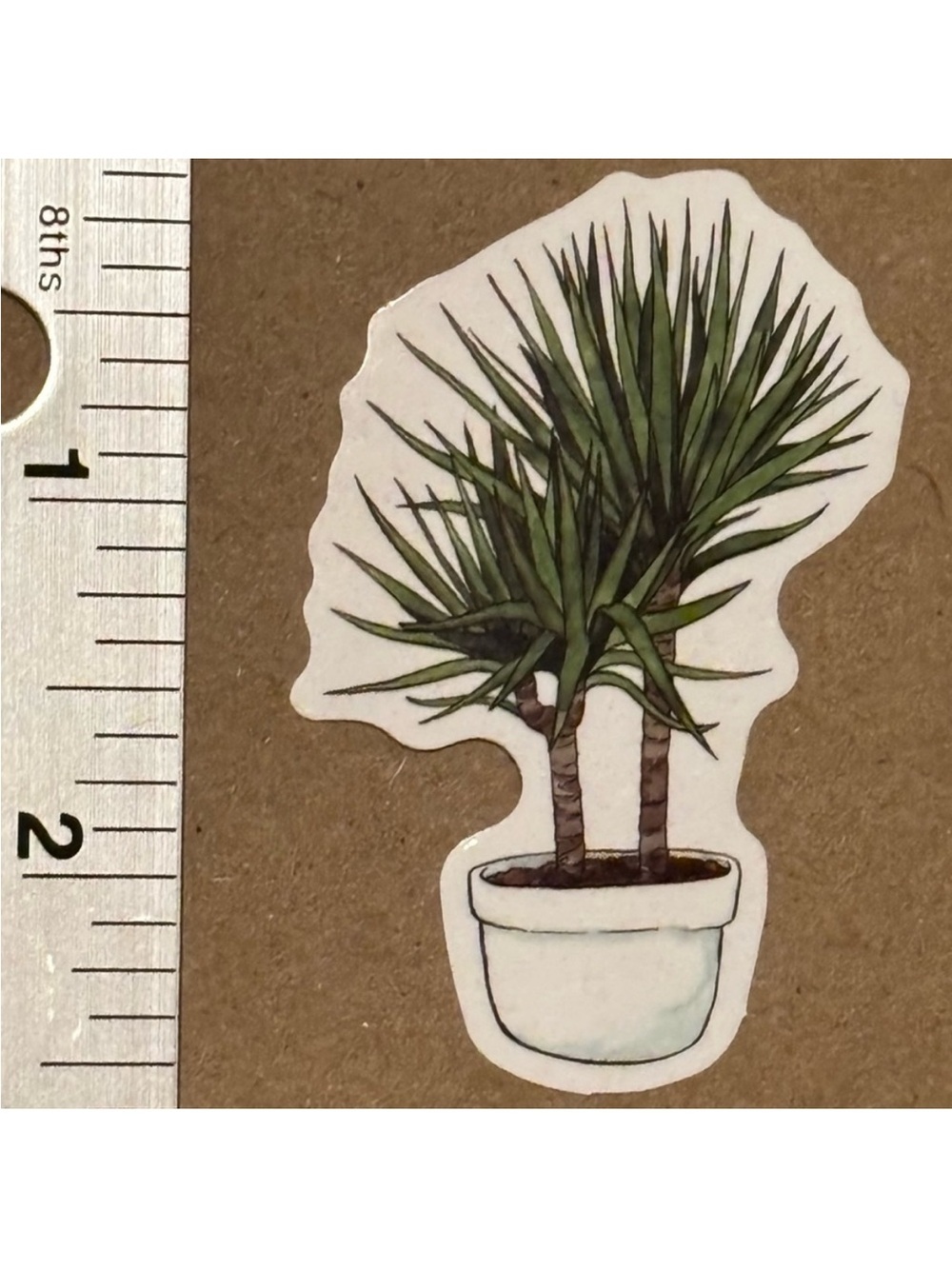 10/$10 Plant Aesthetic Sticker Waterproof Vinyl Water Bottle Laptop Crafts
